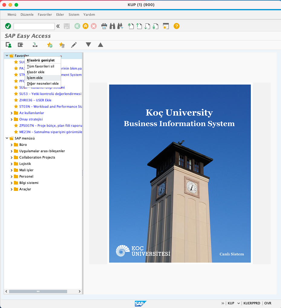 SAP USER GUIDE PDF visual data 2