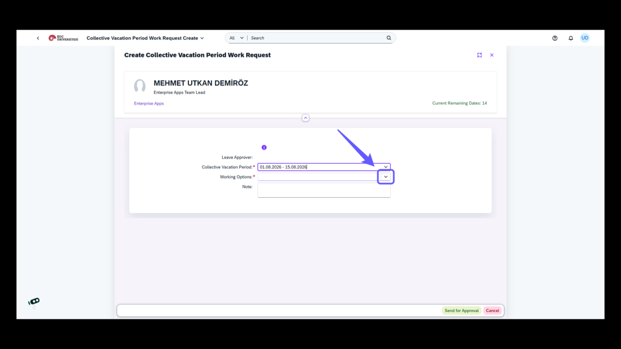 Step05_Select_Working_Options_Dropdown.png