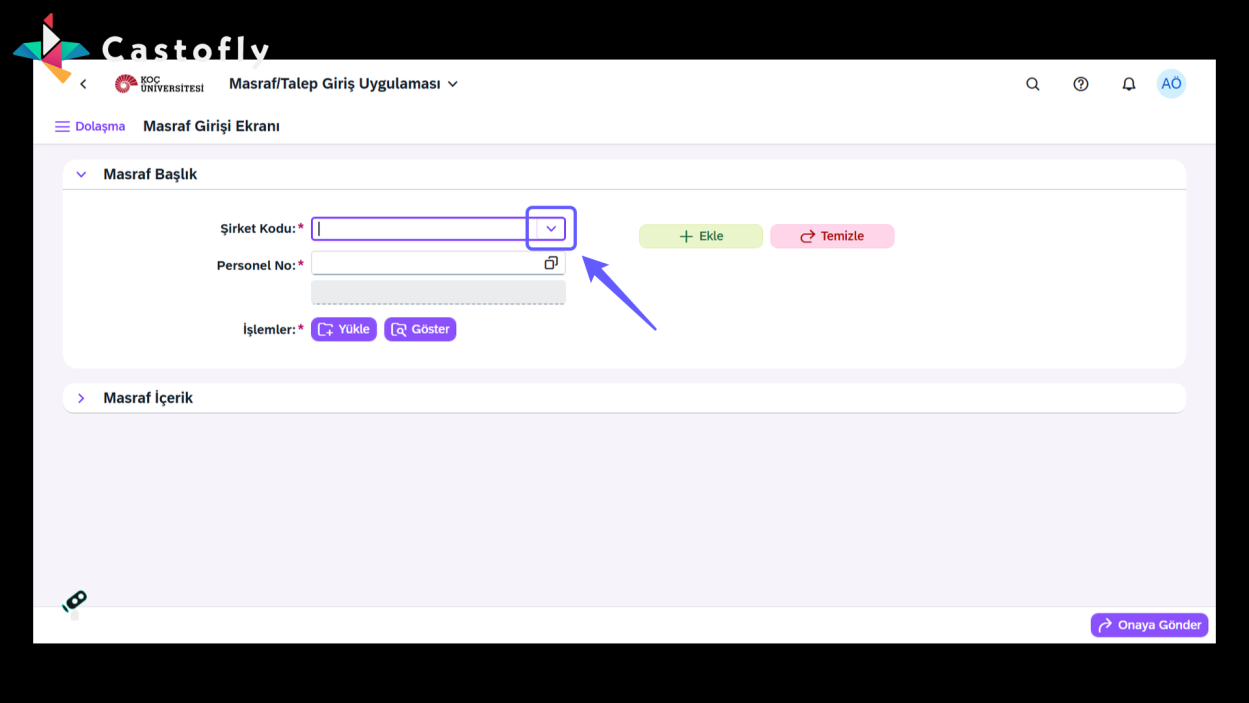 Step16_Masraf_Baslik_Verilerinin_Doldurulmasi.png