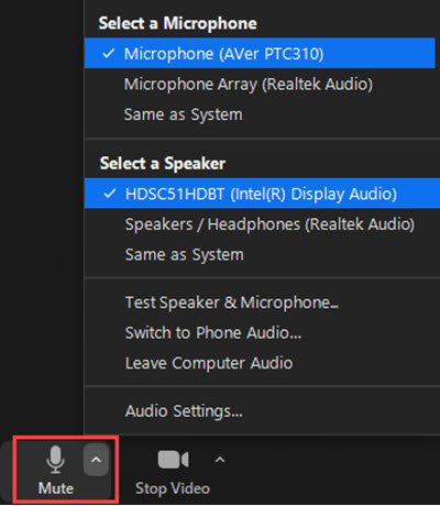Zoom-Mic-and-Speaker.jpg
